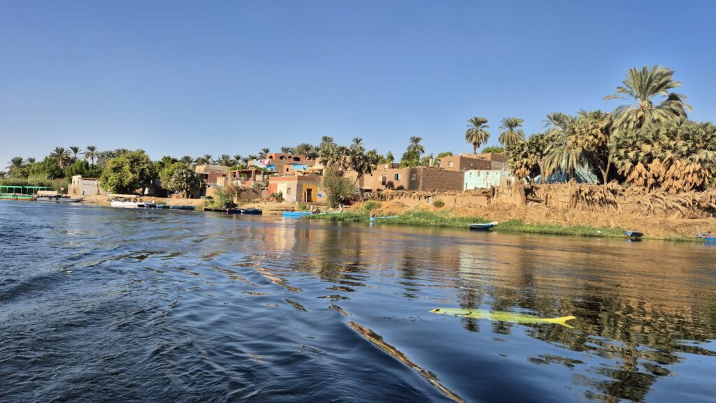 Egyptian landscape